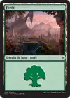 Product image for Forêt
