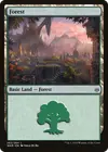 Product image for Forest