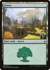 Product image for Forest