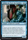 Product image for Affidée du Pacte des Guildes