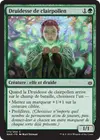 Product image for Druidesse de clairpollen