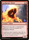 Product image for Spellgorger Weird