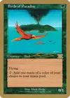 Product image for Birds of Paradise