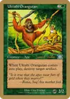 Product image for Uktabi Orangutan