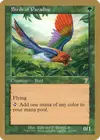Product image for Birds of Paradise