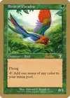 Product image for Birds of Paradise