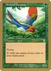 Product image for Birds of Paradise