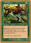Product image for Wild Mongrel