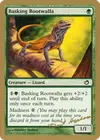 Product image for Basking Rootwalla