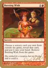 Product image for Burning Wish