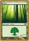 Product image for Forest