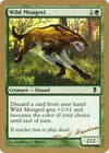 Product image for Wild Mongrel
