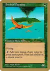 Product image for Birds of Paradise