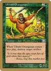 Product image for Uktabi Orangutan