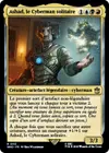 Product image for Ashad, le Cyberman solitaire