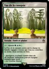 Product image for Vue de la canopée