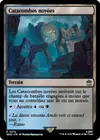 Product image for Catacombes noyées