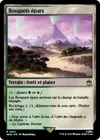 Product image for Bosquets épars