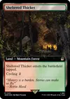 Product image for Sheltered Thicket