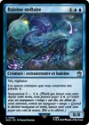 Product image for Baleine stellaire