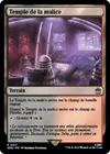 Product image for Temple de la malice