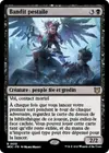 Product image for Bandit pestaile