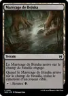 Product image for Marécage de Bojuka