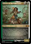 Product image for Ellivere of the Wild Court