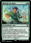 Product image for Héritage de géant