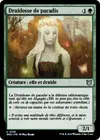 Product image for Druidesse de paradis