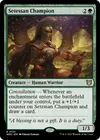 Product image for Setessan Champion