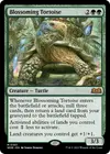 Product image for Blossoming Tortoise