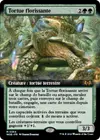 Product image for Tortue florissante