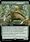 Product image for Blossoming Tortoise