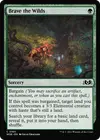 Product image for Brave the Wilds