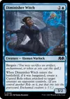 Product image for Diminisher Witch