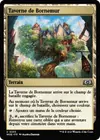 Product image for Taverne de Bornemur