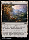 Product image for Evolving Wilds