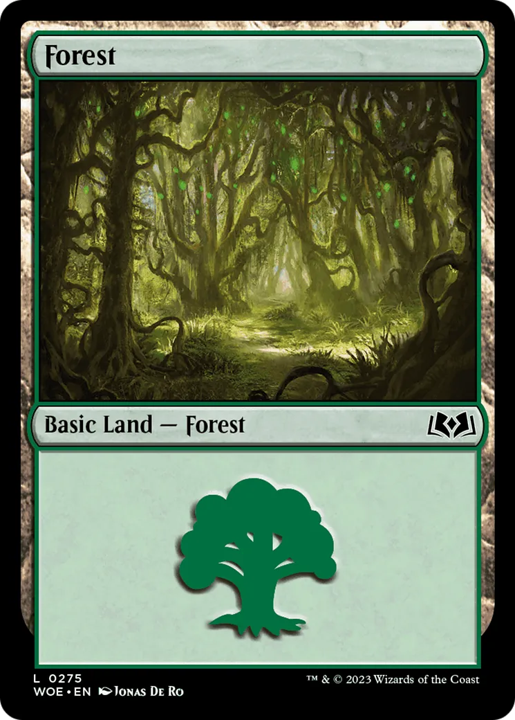 Forest — Wilds of Eldraine — Magic: The Gathering