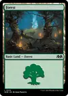 Product image for Forest