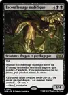 Product image for Escouflemage maléfique