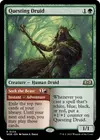 Product image for Questing Druid // Seek the Beast