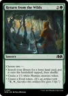Product image for Return from the Wilds