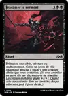 Product image for Fracasser le serment