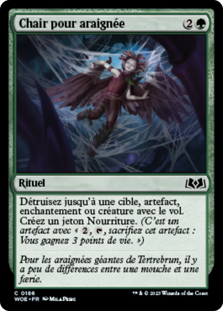 Chair pour araignée — Wilds of Eldraine — Magic: The Gathering