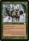 Product image for Arctic Wolves