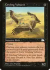 Product image for Circling Vultures