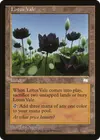 Product image for Lotus Vale