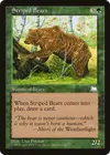 Product image for Striped Bears