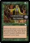 Product image for Hiérophante sylvestre
